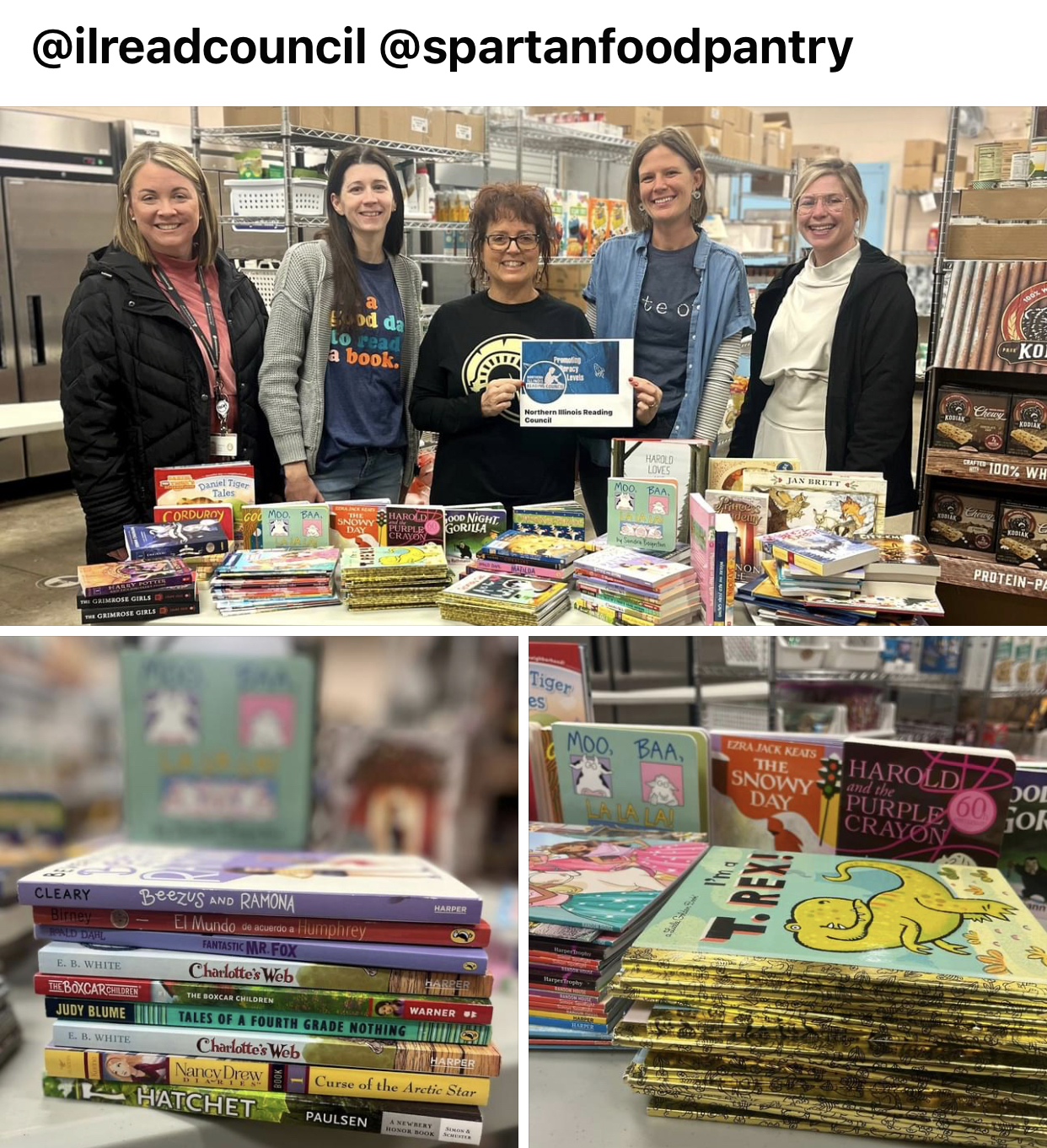 Northern Illinois Reading Council
